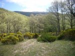 Foto14.JPG