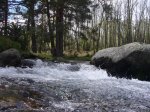 Foto35.JPG