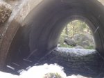 Foto43.JPG