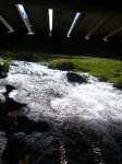 Foto46.JPG