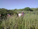 P170509_09.21[01].jpg