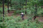 bici 124.jpg