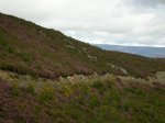 Image_002.JPG