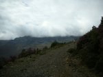 Image_003.JPG