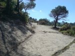 DSC02618.jpg