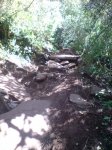 DSC02641.jpg