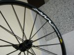 Bicis 005.jpg