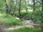 DSCN0569.jpg