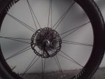 DSC00557.jpg