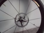 DSC00558.jpg