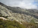 DSCN0650.jpg