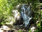 DSCN0727.jpg