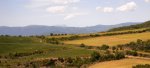 R0015246.JPG