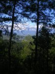 Imagen 309.jpg