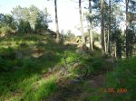 DSCN5785.JPG