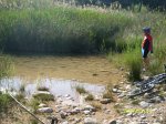 SL270790.JPG