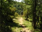 IMG_3525.JPG
