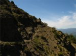 IMG_3579.JPG
