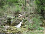 IMG_1816.JPG