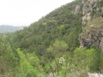 IMG_1827.JPG
