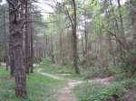 IMG_1845.JPG