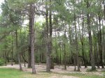 IMG_1850.JPG
