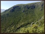Bajada de El Mogote.jpg