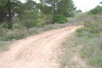 molino 043.jpg
