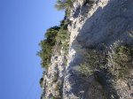DSC00608.jpg