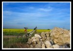 IMG_1028.jpg