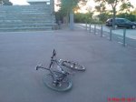 DSC00098.jpg