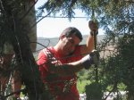 IMG_8547 [800x600].JPG