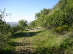 Foto18.JPG