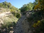 Foto19.JPG