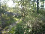 Foto22.JPG
