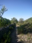 Foto25.JPG