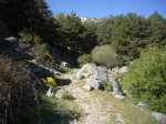 Foto30.JPG