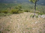 Foto41.JPG