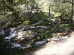 Foto65.JPG