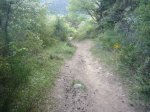 Foto70.JPG