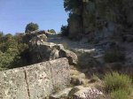 IMG00053.jpg