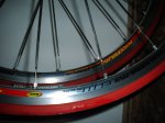 DSC01647.JPG
