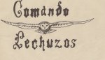 Logo Lechuzos por Plusia.jpg