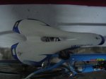 DSC05348.jpg