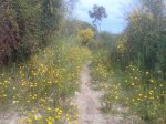Imagen042.jpg