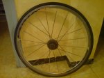 DSC00040.jpg