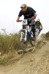 cadh16.jpg