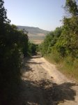 Imagen005.jpg