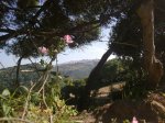 Imagen004.jpg