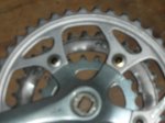 DSCN0559.jpg